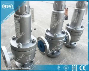 Injap Keselamatan Alloy20