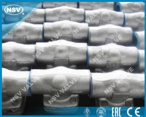 Valve Check Forged BB