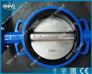Wafer Concentric Butterfly Valve